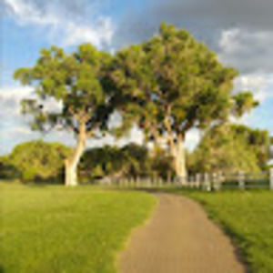 Meet your Posher, Chantelle